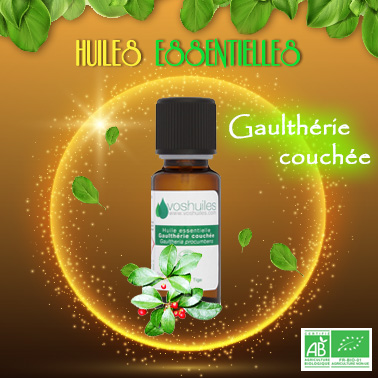 Huile essentielle gaultherie couchée Bio